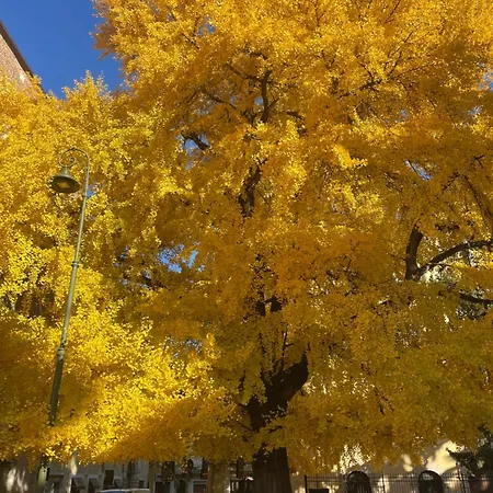 Apartment Alle Arche *